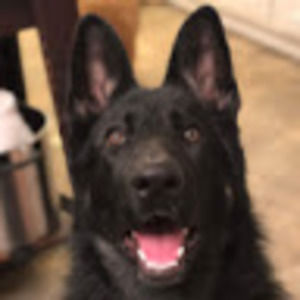 Meet your Posher, Seth